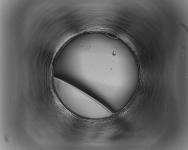X0000100981000200806241144