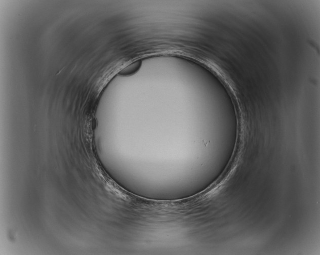 X0000100981001200806241144