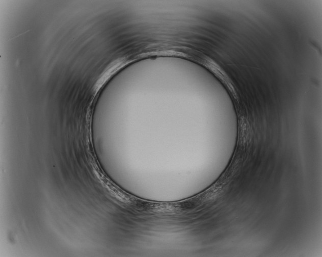 X0000100981002200806241144