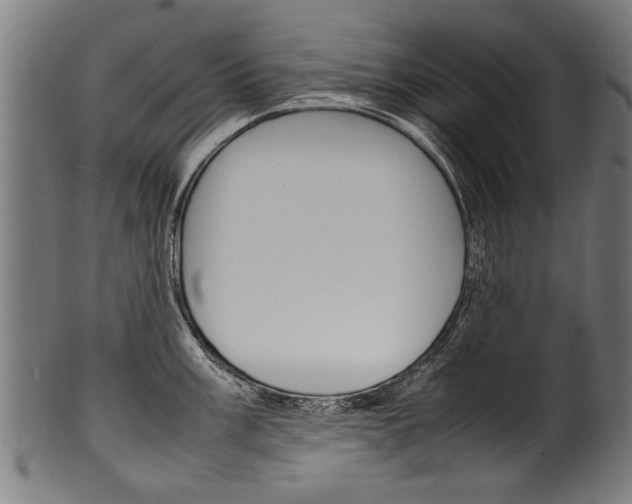 X0000100981003200806241144