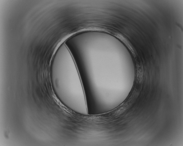 X0000100981004200806241144