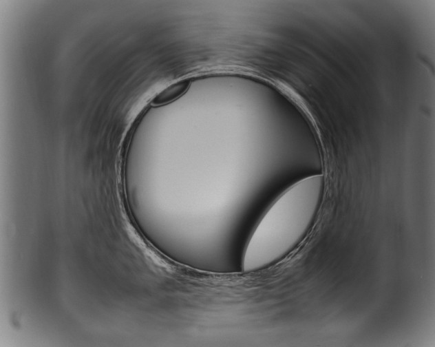 X0000100981005200806241144