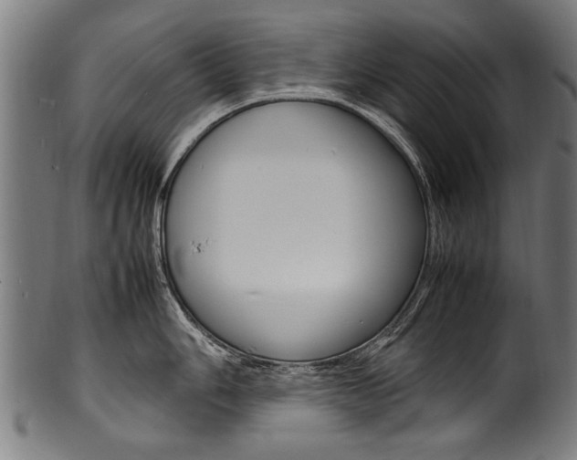 X0000100981006200806241144