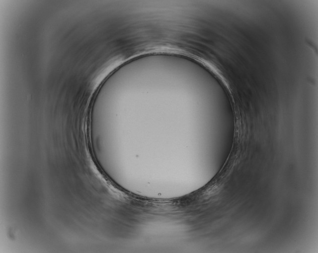 X0000100981007200806241144