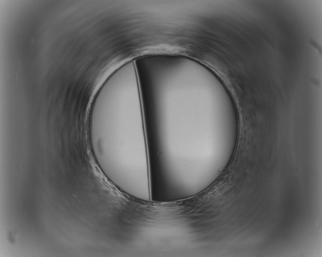 X0000100981008200806241144