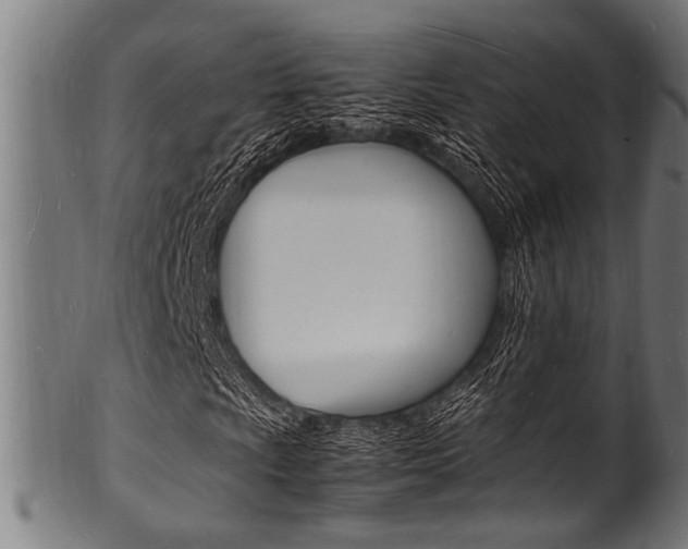X0000100981009200806241143