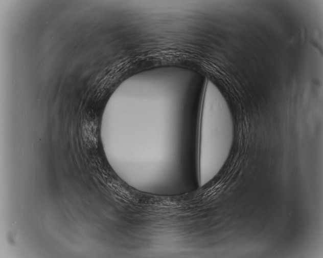 X0000100981010200806241143