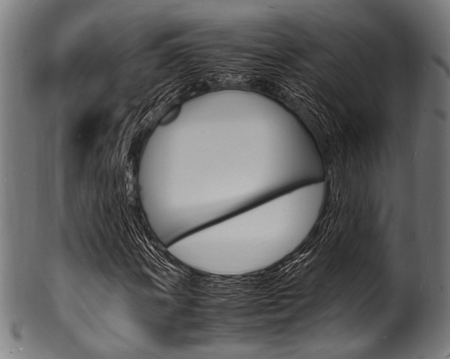 X0000100981011200806241143