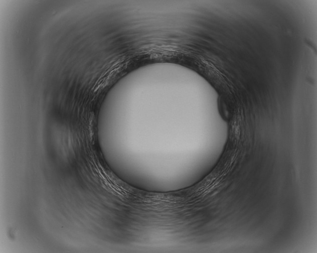 X0000100981012200806241143