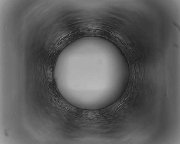 X0000100981013200806241143