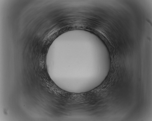 X0000100981015200806241143