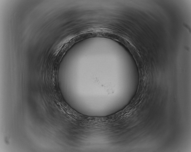 X0000100981016200806241143