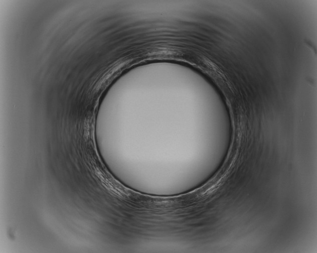 X0000100981017200806241143