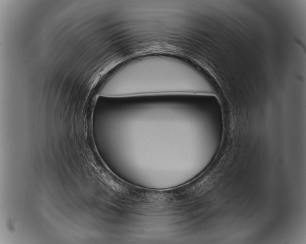 X0000100981018200806241143