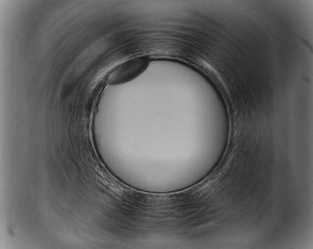 X0000100981019200806241143