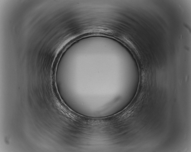 X0000100981020200806241143