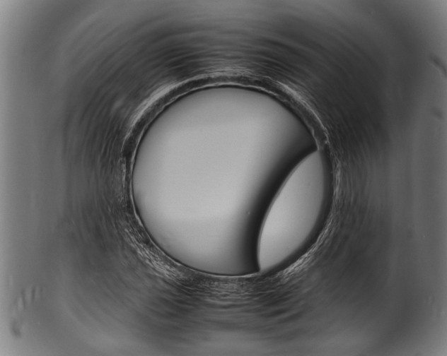 X0000100981021200806241143