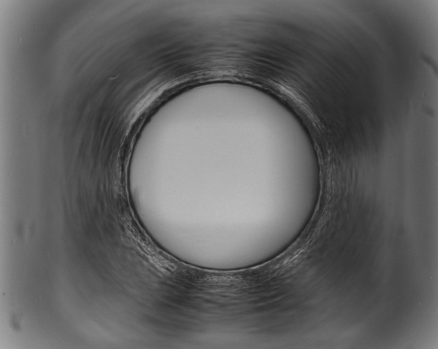 X0000100981023200806241143
