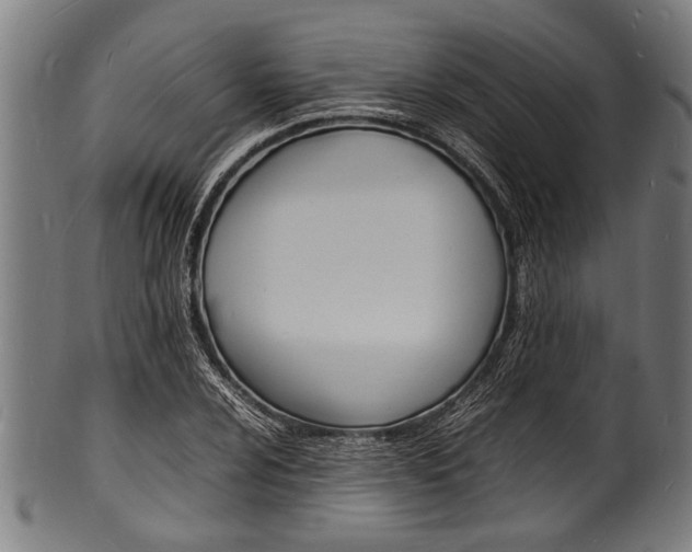 X0000100981024200806241143