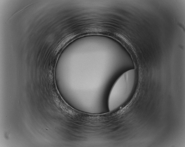 X0000100981025200806241143