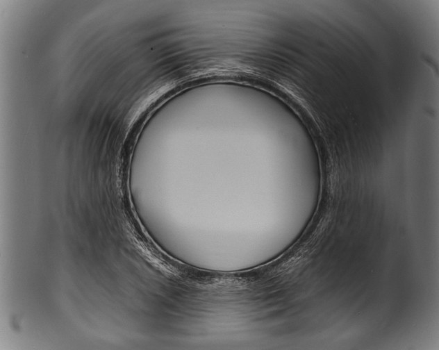 X0000100981026200806241143