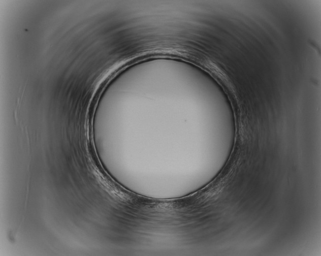 X0000100981028200806241143