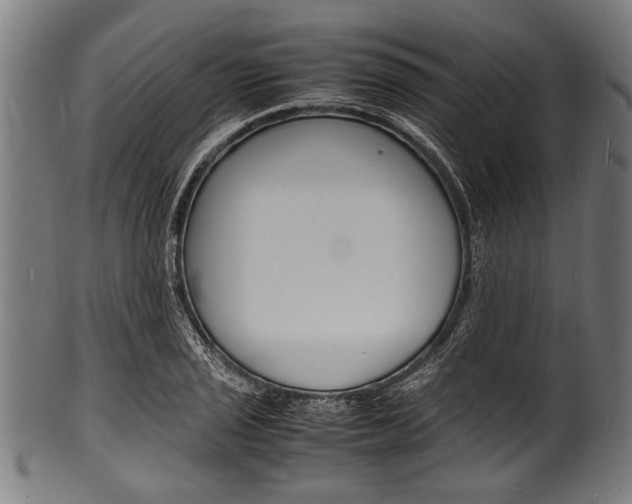 X0000100981029200806241143