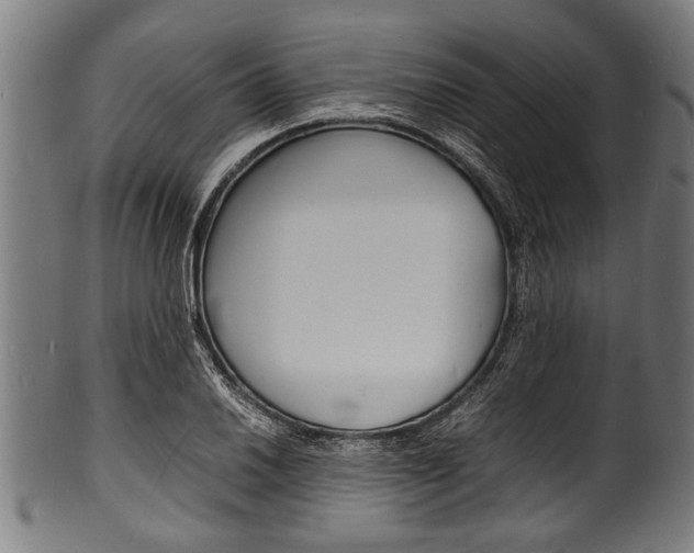 X0000100981030200806241143
