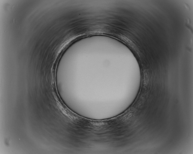 X0000100981031200806241143