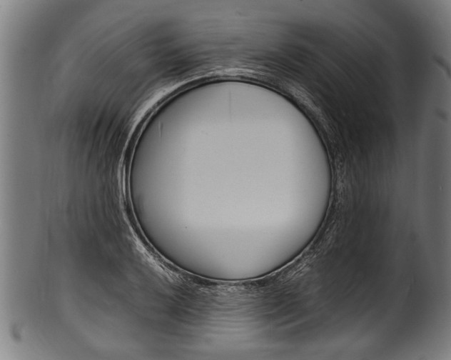 X0000100981032200806241143