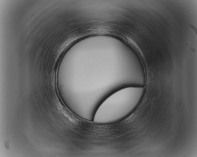 X0000100981035200806241144
