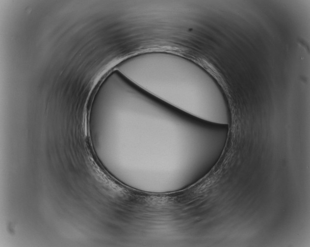 X0000100981036200806241144
