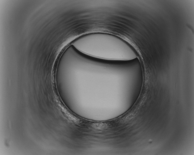 X0000100981037200806241144