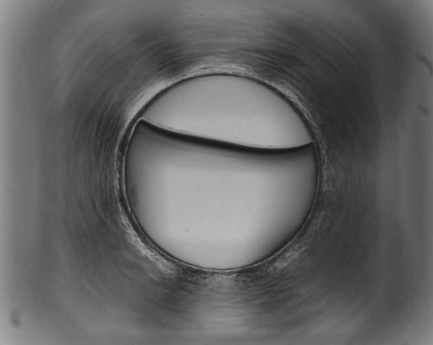 X0000100981038200806241144