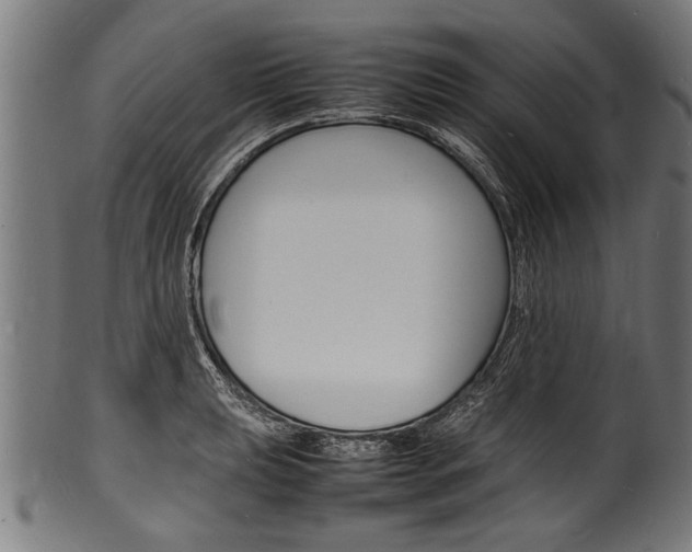 X0000100981039200806241144