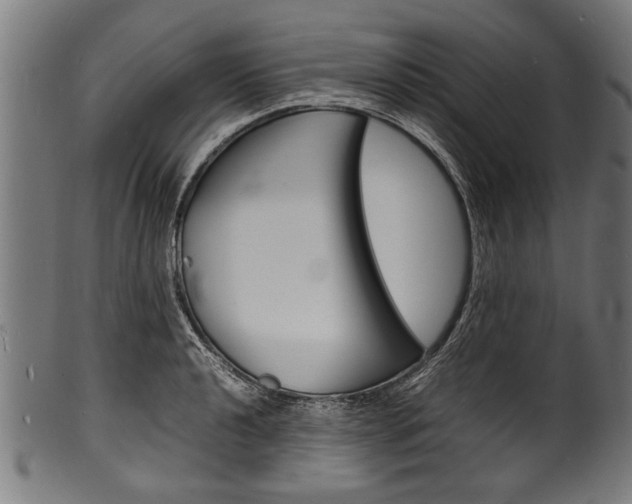 X0000100981040200806241144