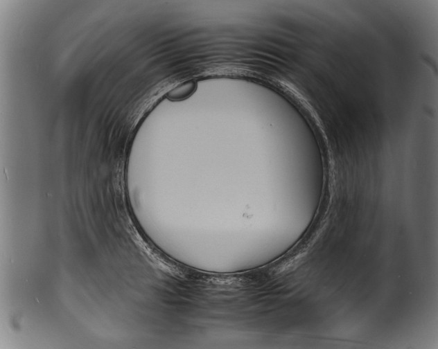 X0000100981041200806241144