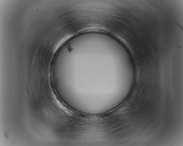 X0000100981042200806241144