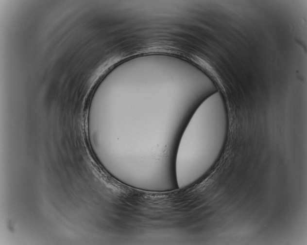 X0000100981043200806241144