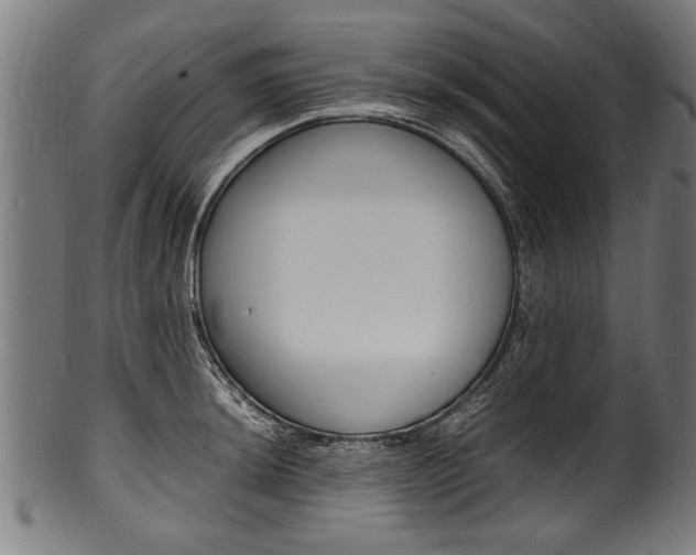 X0000100981044200806241144