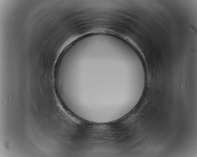 X0000100981045200806241144