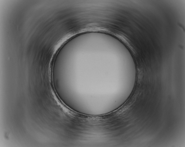 X0000100981046200806241144