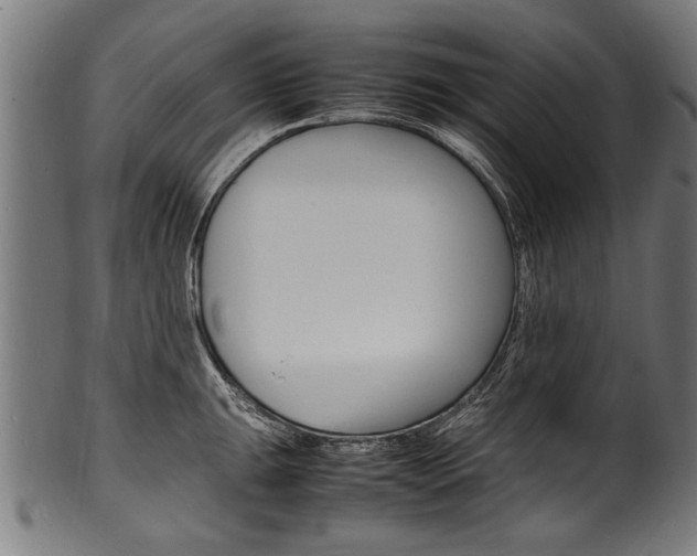 X0000100981047200806241144