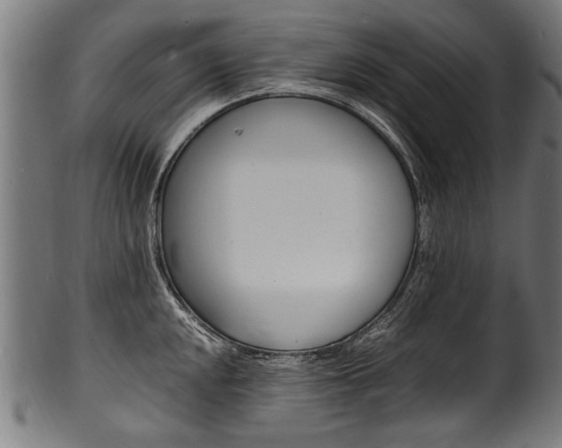 X0000100981048200806241144