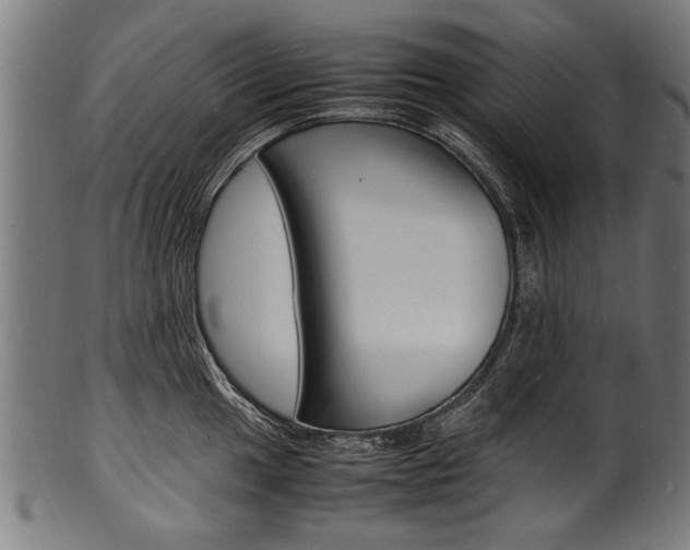 X0000100981049200806241144