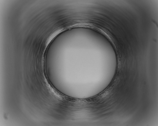 X0000100981050200806241144
