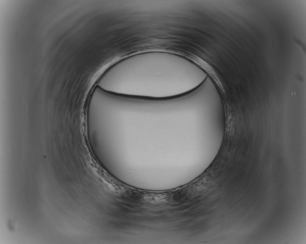 X0000100981051200806241144