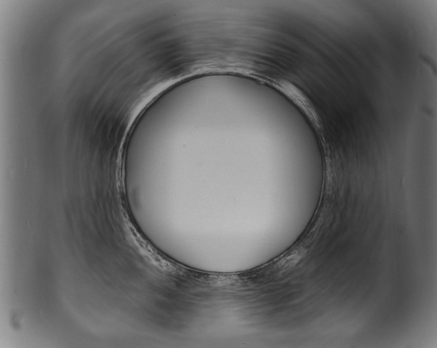X0000100981052200806241144