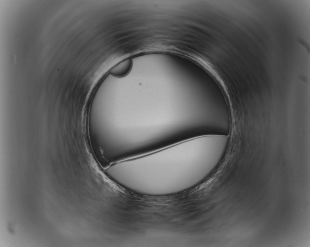 X0000100981053200806241144