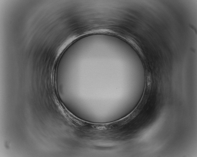 X0000100981054200806241144
